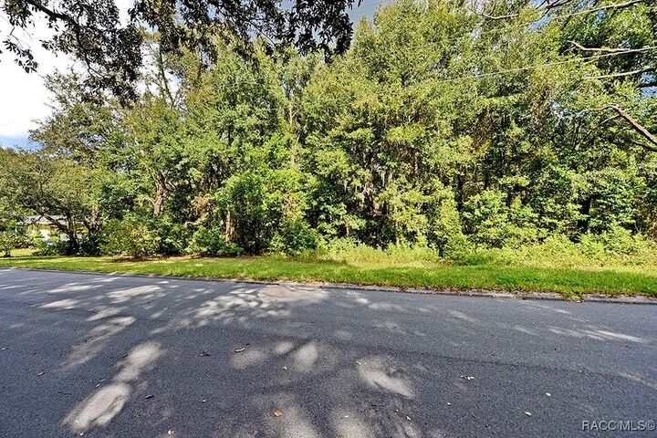 Property Photo: 916 Tulane Terrace FL 34450