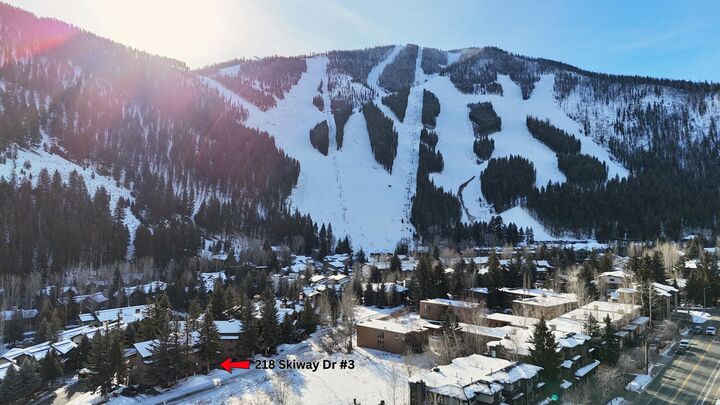 Property Photo: 218 Skiway Dr 3 ID 83340