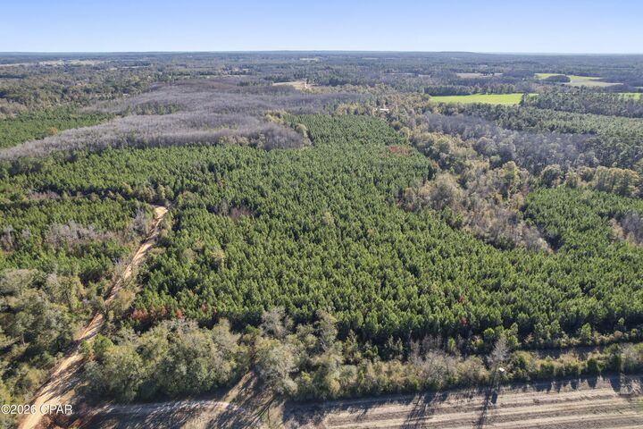 Property Photo:  0 New Prospect Road  FL 32428 