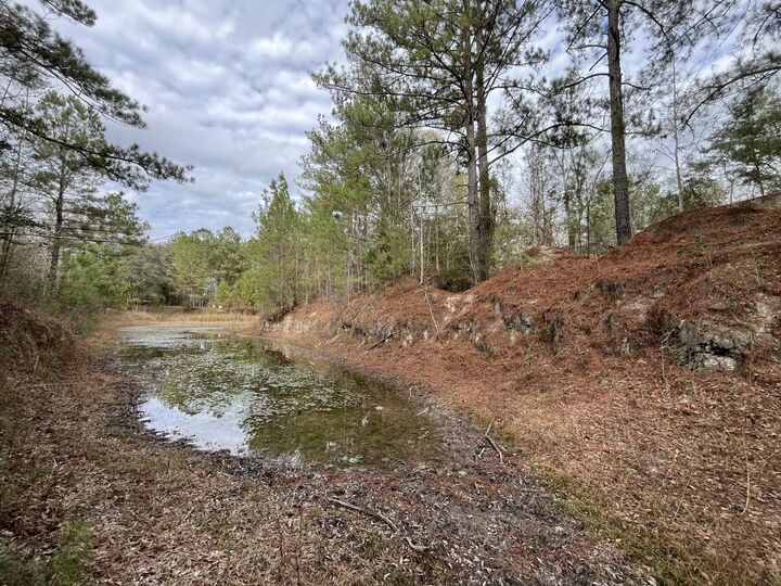 Property Photo:  3878 River Road  FL 32462 