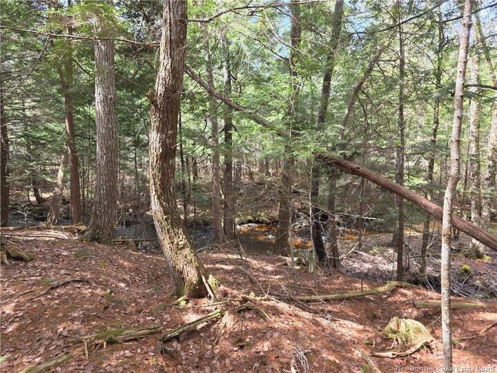Property Photo: 0 Crest Avenue NB E3L 5C1