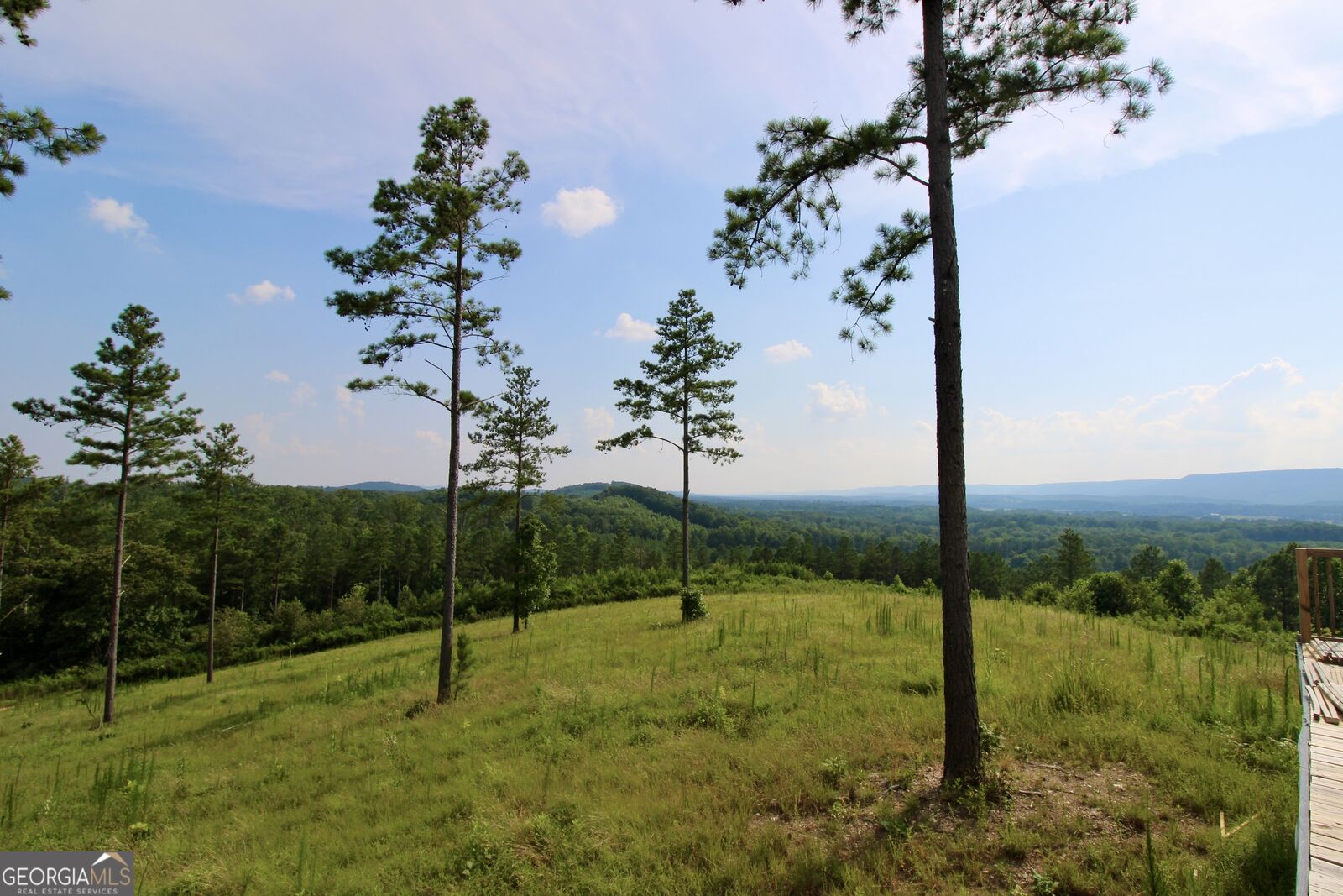 Property Photo:  596 Dupree Road  GA 30747 