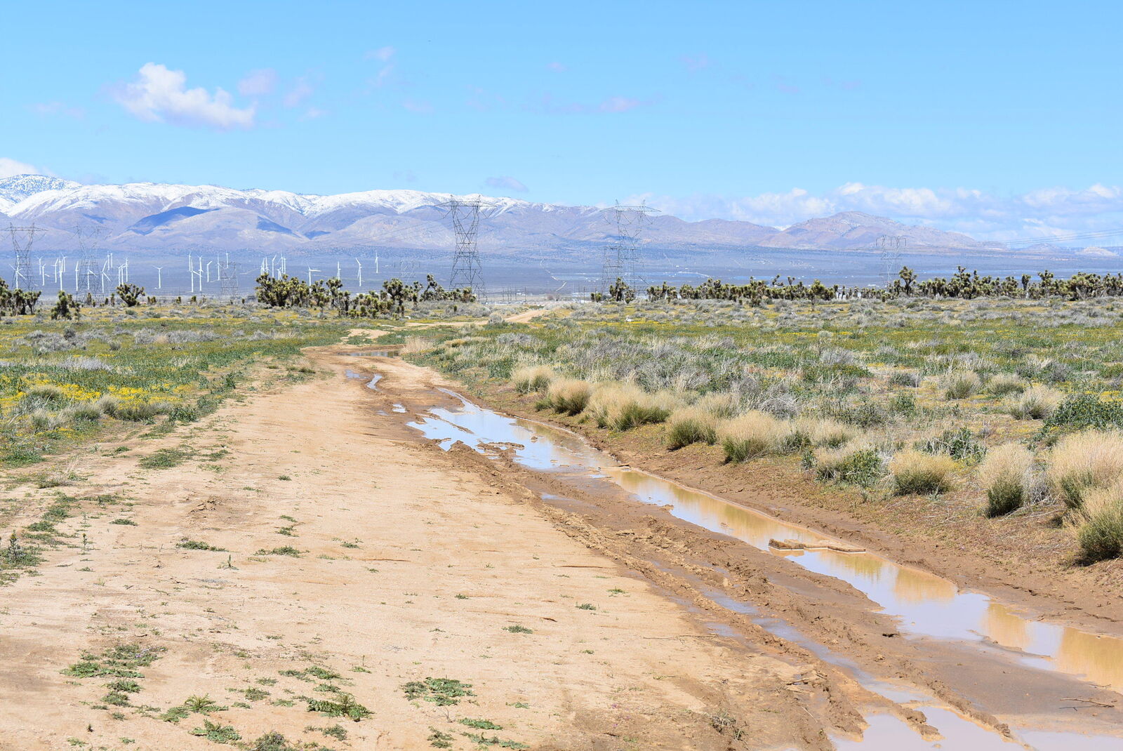 Property Photo:  Ave B12 Vic 151 Stw  CA 93536 