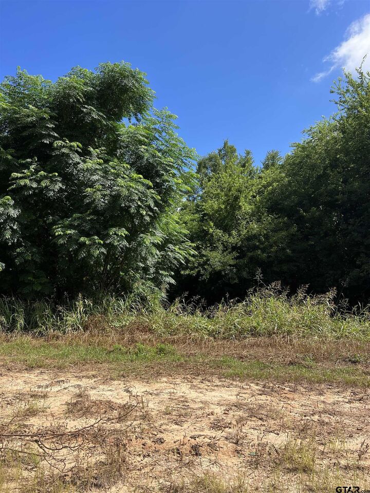 Property Photo:  000 Sh 64  TX 75754 