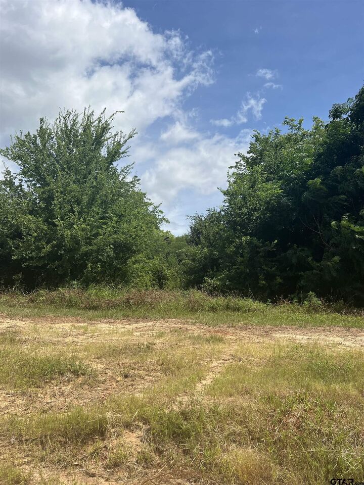 Property Photo: 000 Sh 64 TX 75754