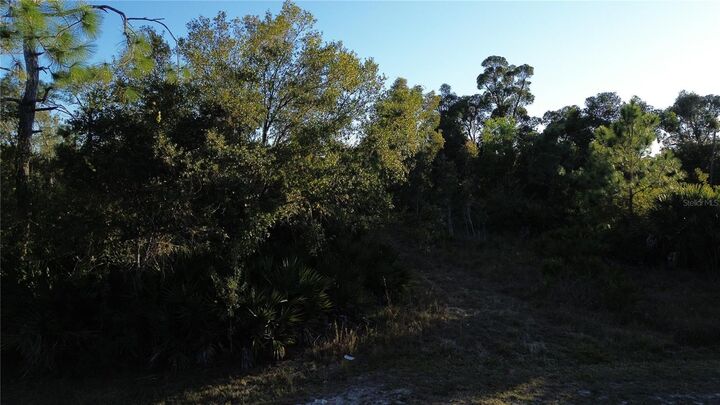 Property Photo:  27481 Senator Drive  FL 33955 