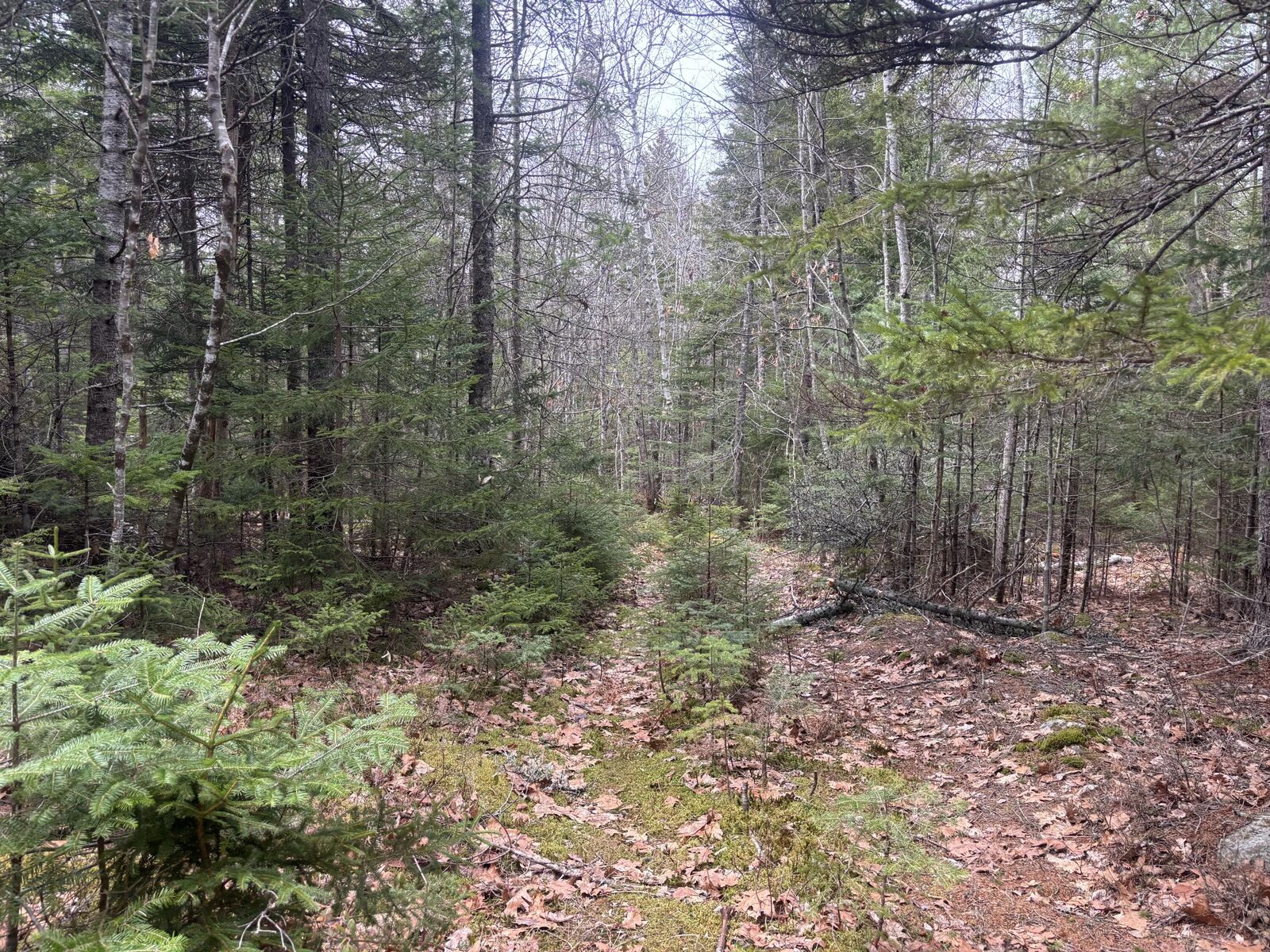Property Photo:  M11l17c Rogers Point Road  ME 04680 