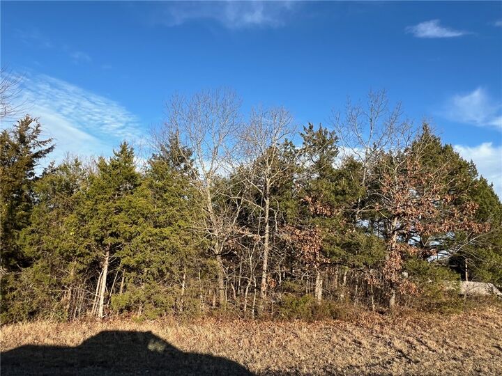 Property Photo:  Tbd Diamond Boulevard  AR 72630 