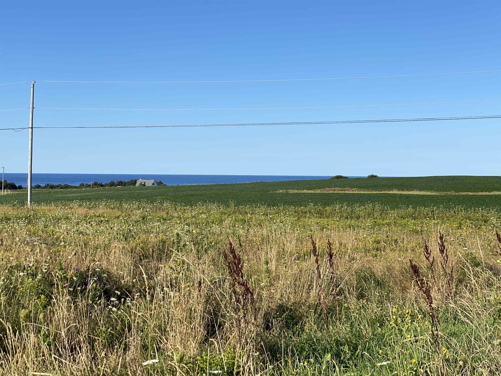 Property Photo: Lot 15 Harrison Street PE C0A 1N0