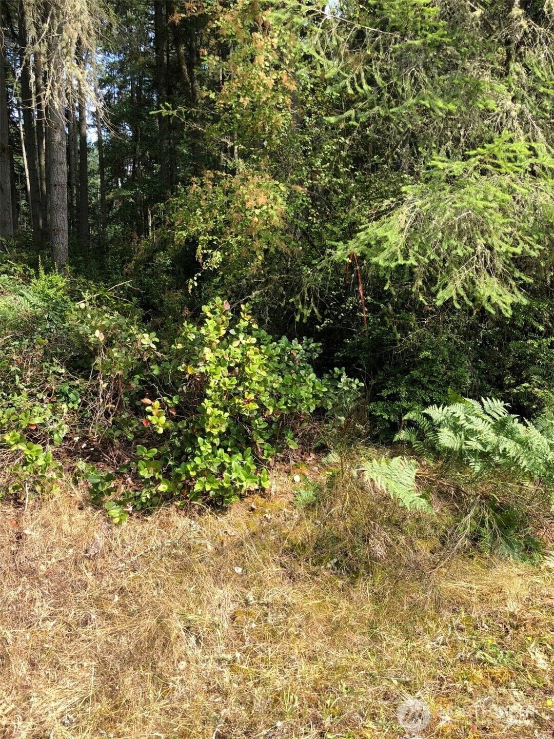 Property Photo:  11419  Leschi Circle  WA 98303 