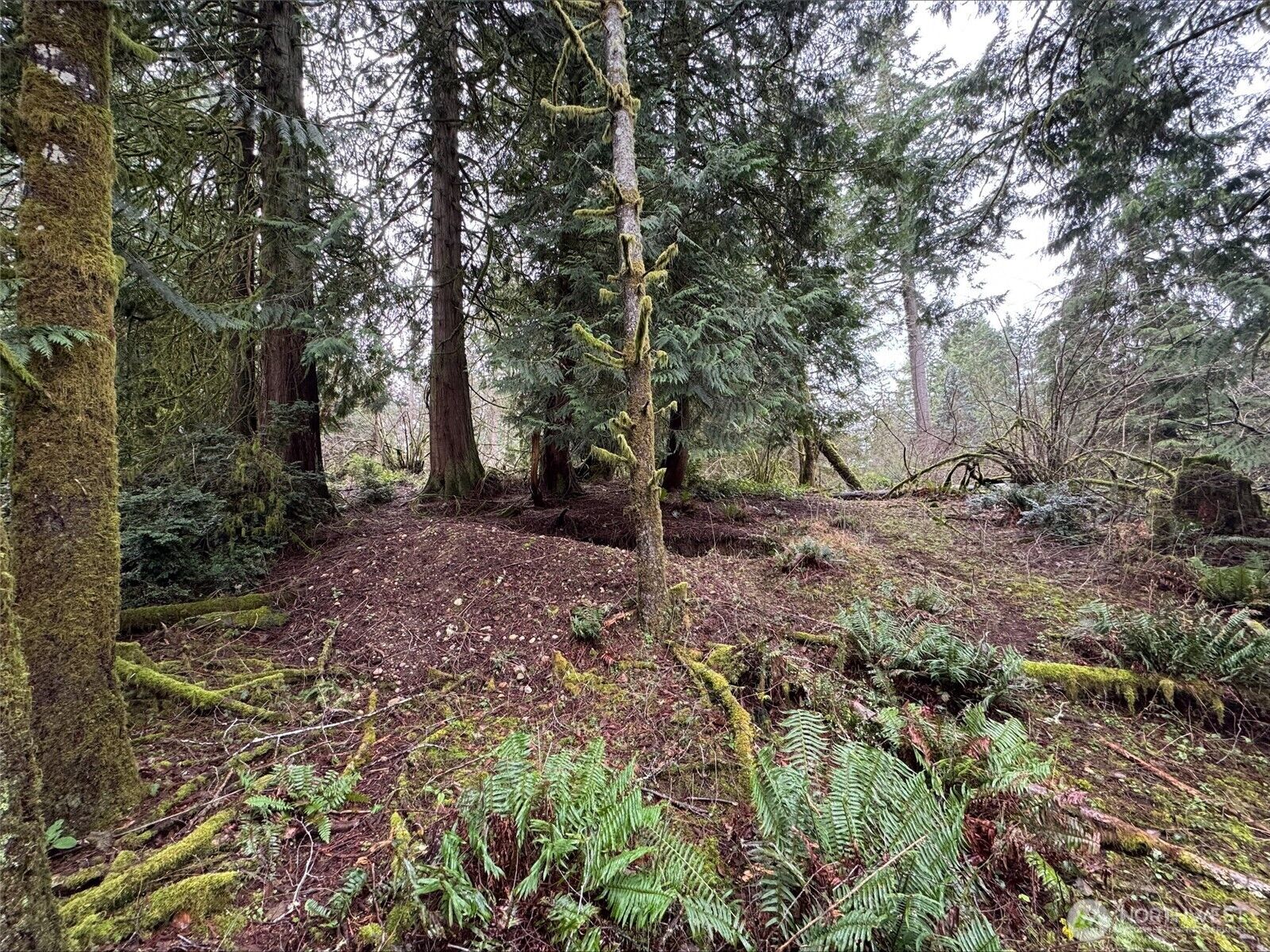Property Photo:  10110  Selma Circle  WA 98303 