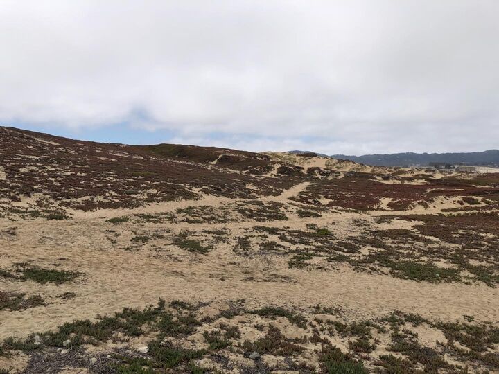 Property Photo:  0 Tioga Avenue  CA 93955 