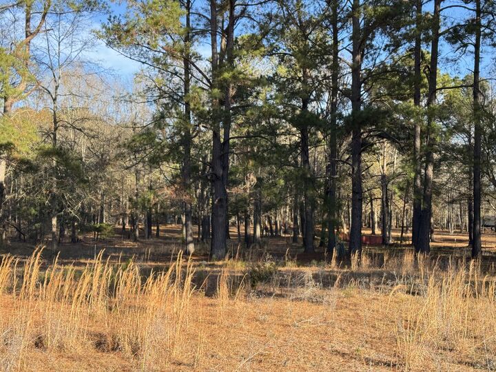 Property Photo: 00 Lake Marion Shores Road SC 29148