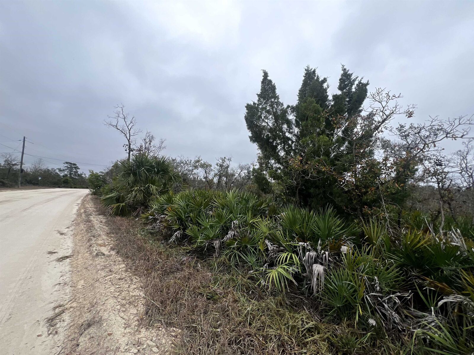 Property Photo: 15819 Sea Breeze Drive FL 32348