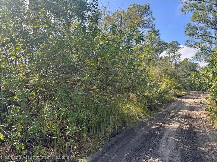 Property Photo:  2163 Petunia Avenue  FL 33875 