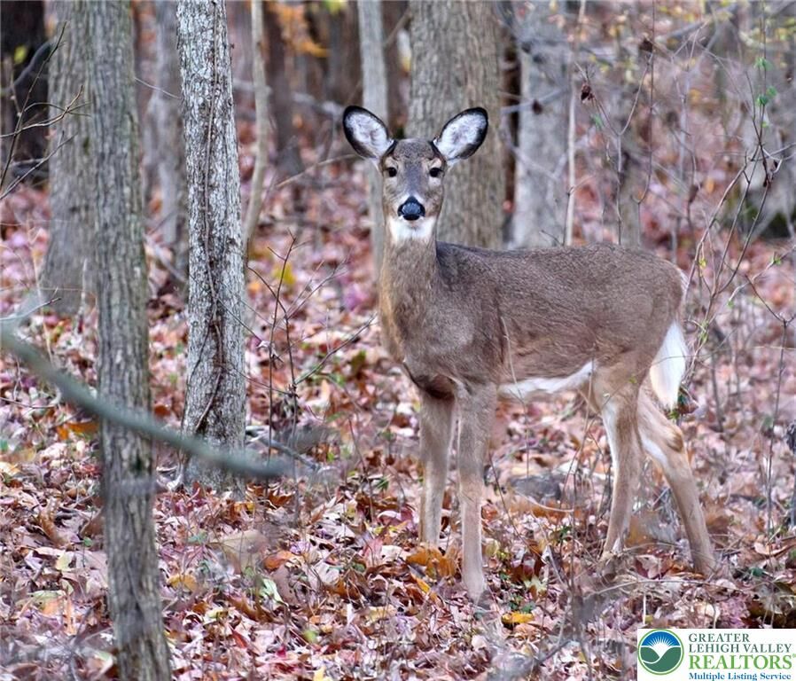 Property Photo:  129 Fall Court 58  PA 18328 