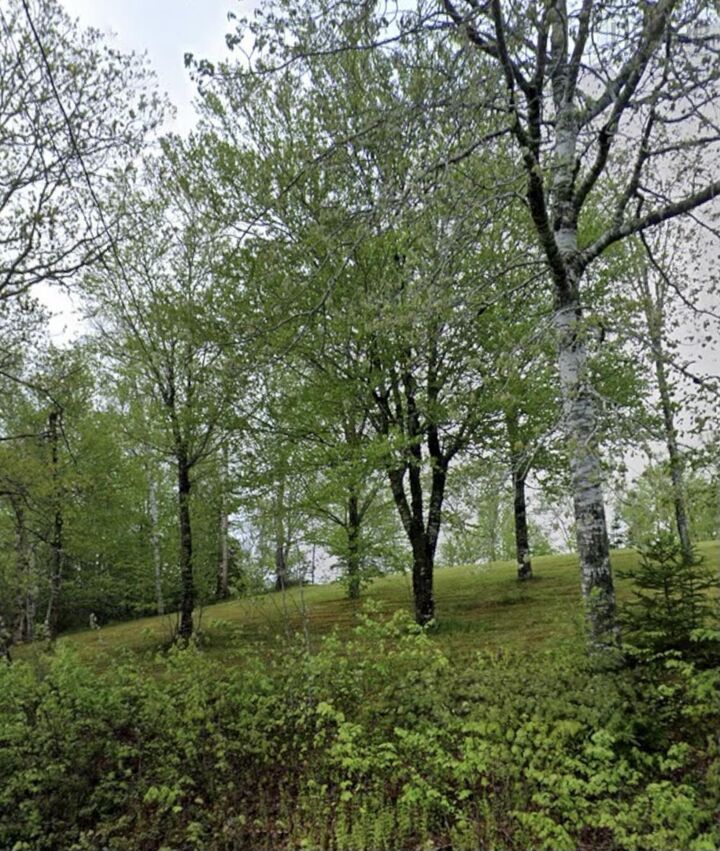 51 Lead Mine Road — photo 1