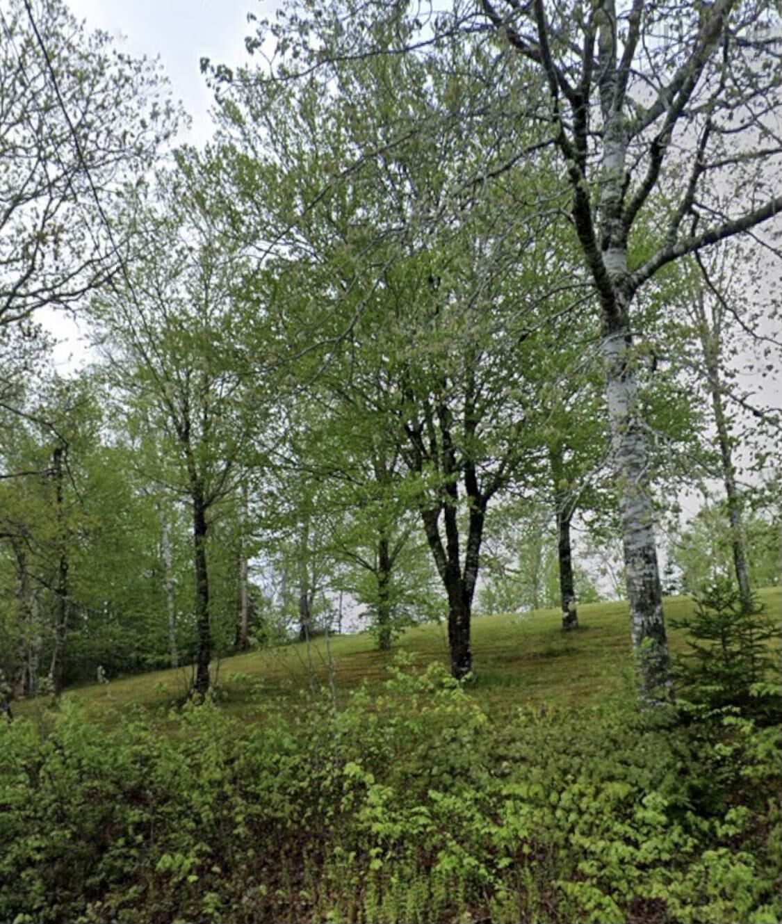 Property Photo:  51 Lead Mine Road  NS B0H 1E0 