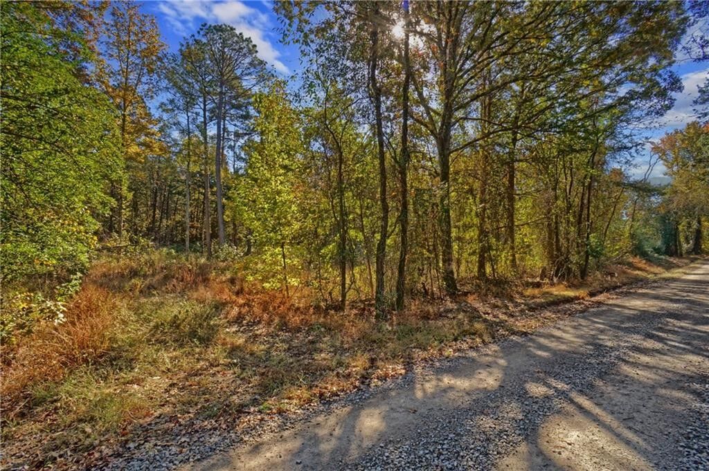 Property Photo: Lot 6 Melvin Lane AR 72837