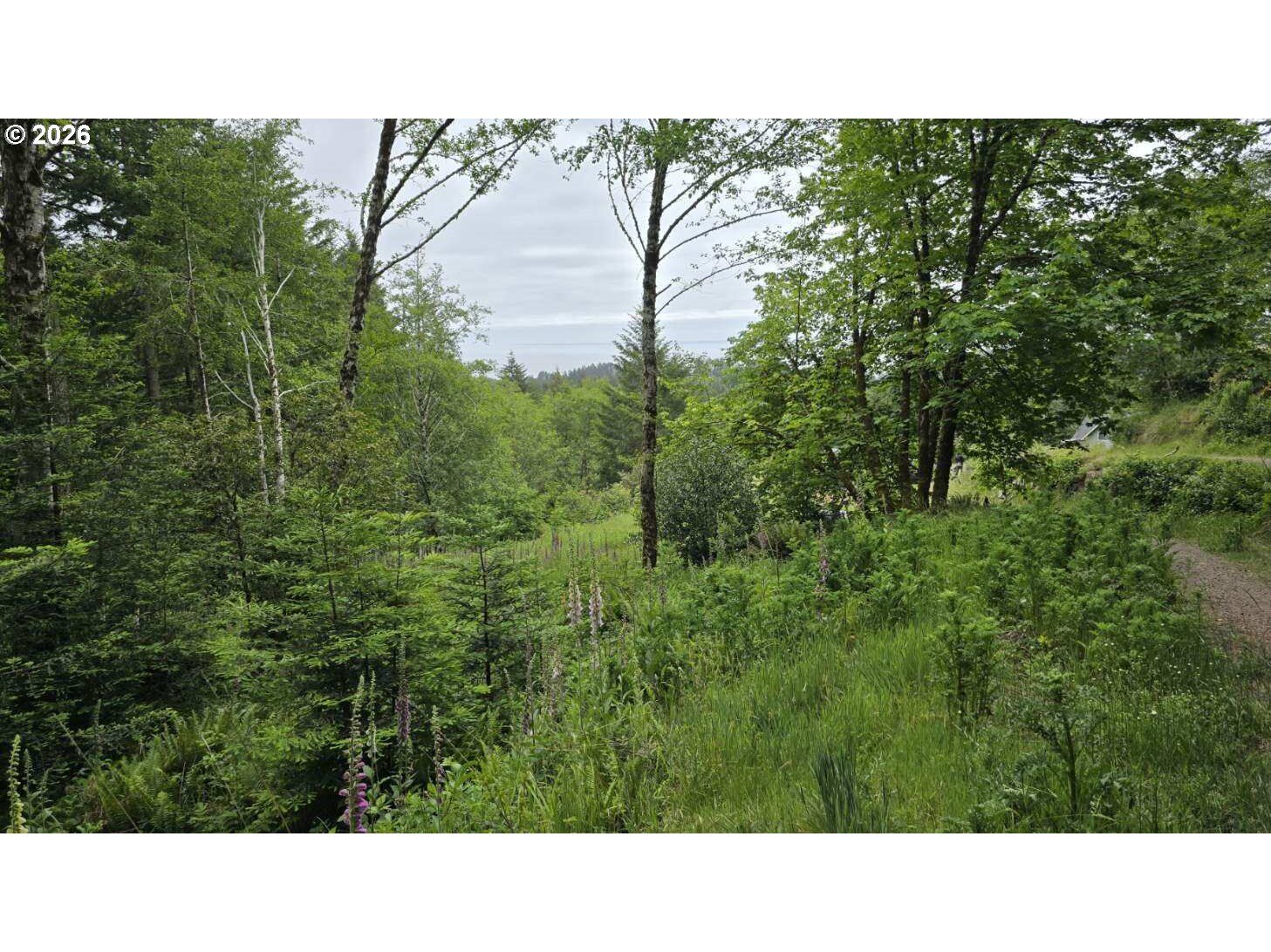 Property Photo:  0 Whisper Ln  OR 97415 