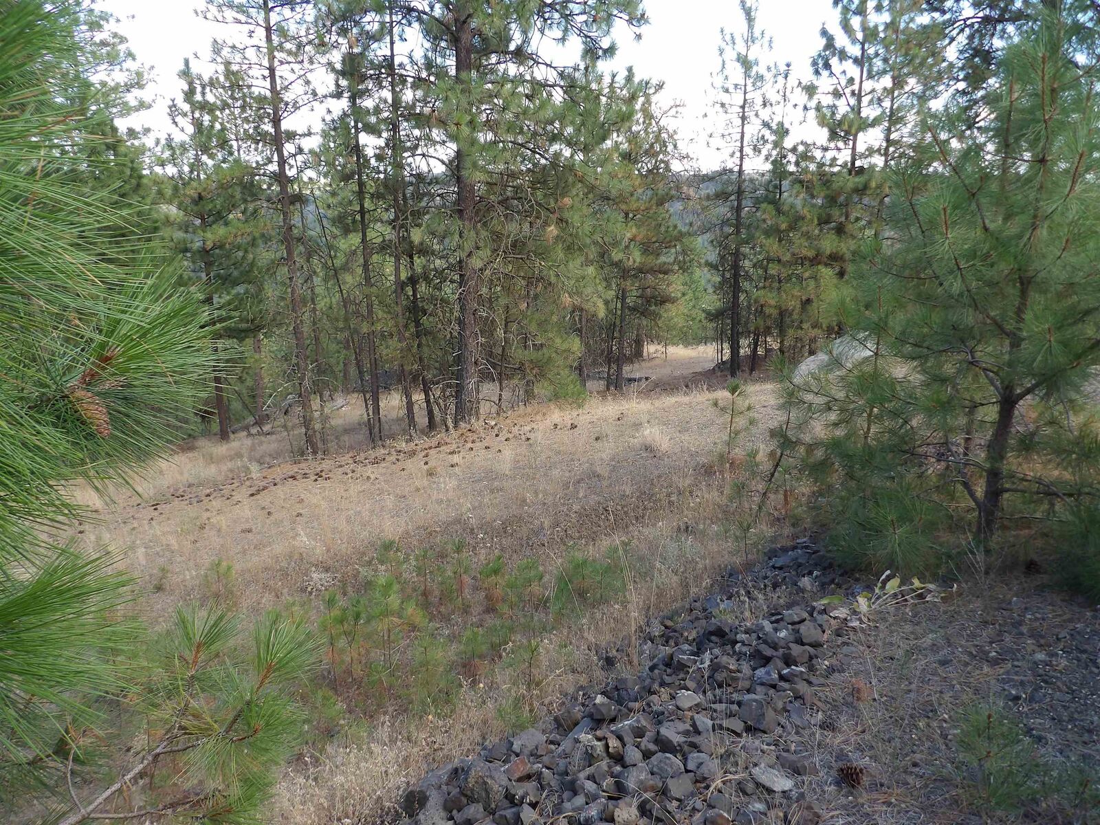 Property Photo: 31905 E Ruffed Grouse Dr WA 99122