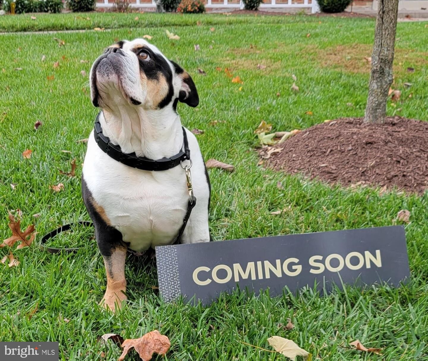 Property Photo:  208 Water Fountain Court 103  MD 21060 