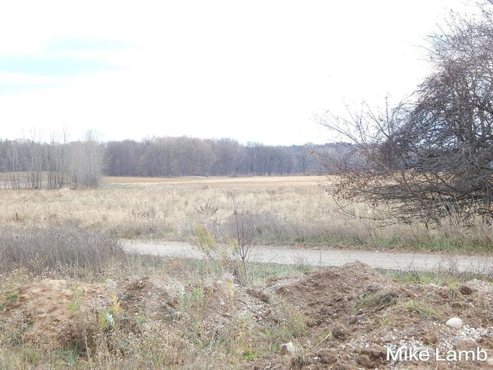 Property Photo:  9340 Sparta Avenue NW  MI 49345 