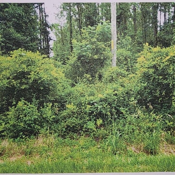 Property Photo:  Xxxx Xxxx Fairbanks Ferry  FL 32312 