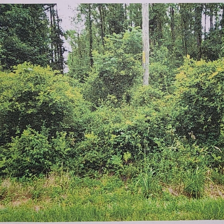 Property Photo: Xxxx Xxxx Fairbanks Ferry FL 32312