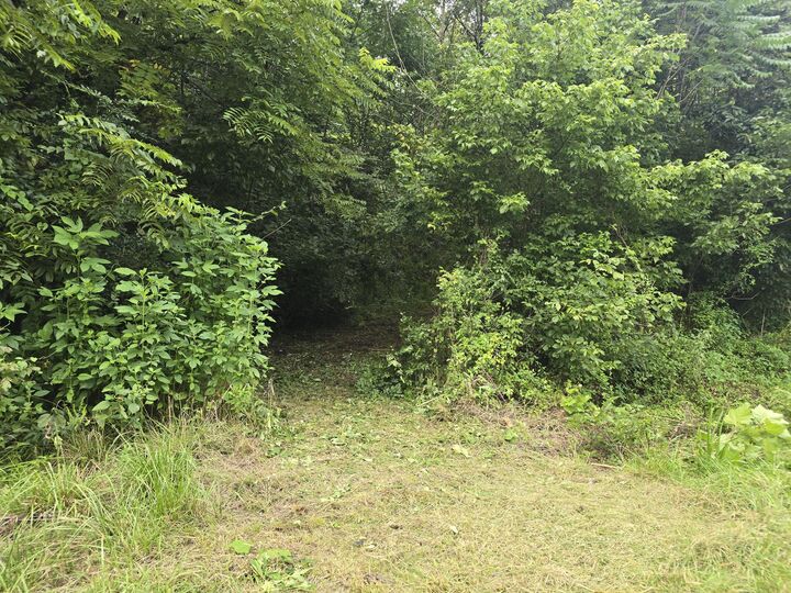 Property Photo:  0 US-119 Bell-Harlan County Line  KY 40813 
