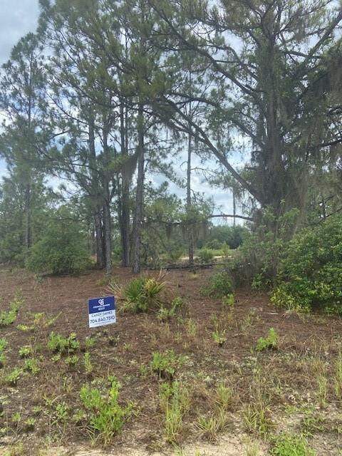 Property Photo:  255 Sunflower Avenue  FL 33852 