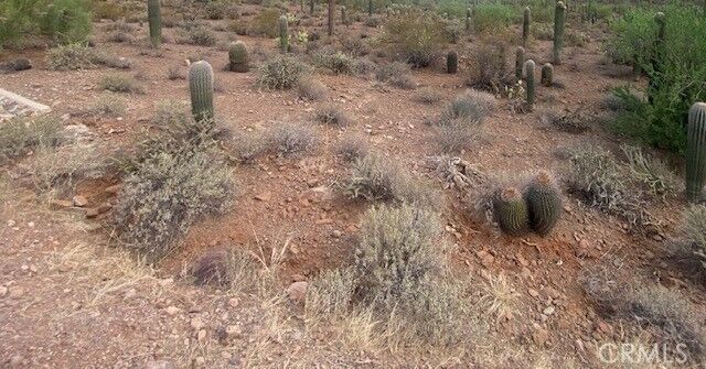 Property Photo:  0 Vac/ Challenge Wy Vic Ave # L  CA 93535 