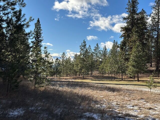 Property Photo: 31861 Meadow Road MT 59860