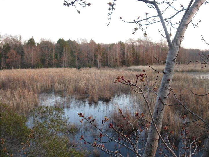 Property Photo:  Tbd 133 Ac +- Vz County Road 4701  TX 75754 