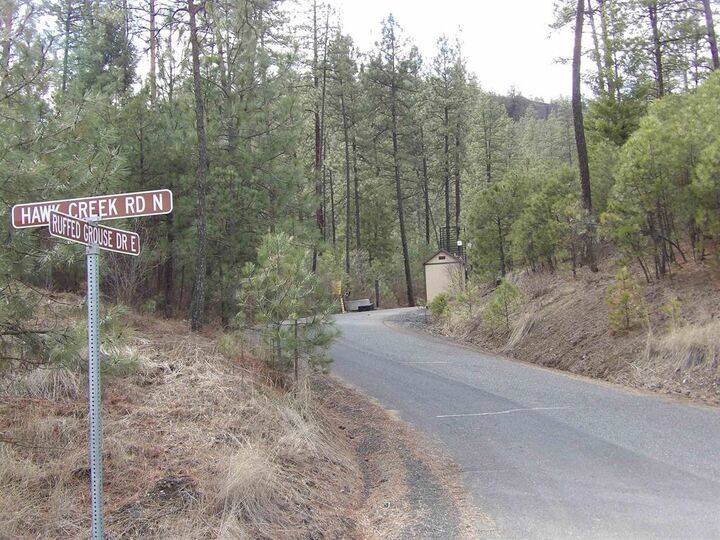 Property Photo:  Lot 2 Pine Hen Ln  WA 99122 