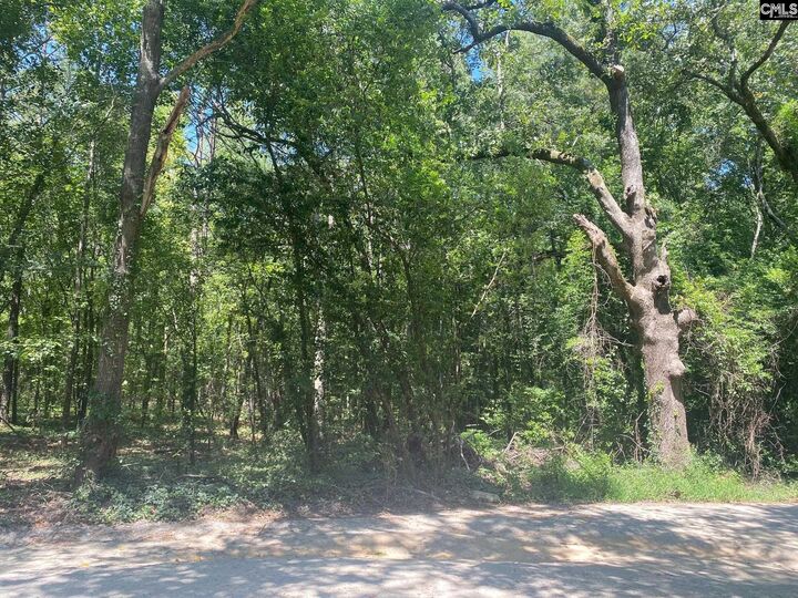 Property Photo: 0 Mathias SC 29169