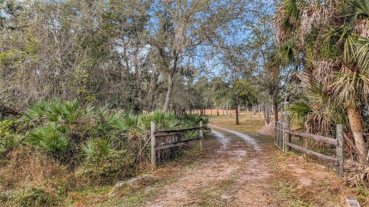 Property Photo:  Waccassa St  FL 32732 