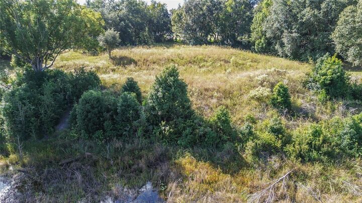 Property Photo:  Lot 6 Tree Frog Lane  FL 32736 