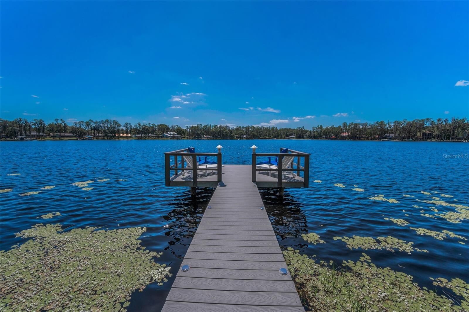 Property Photo:  16019 Chastain Road  FL 33556 