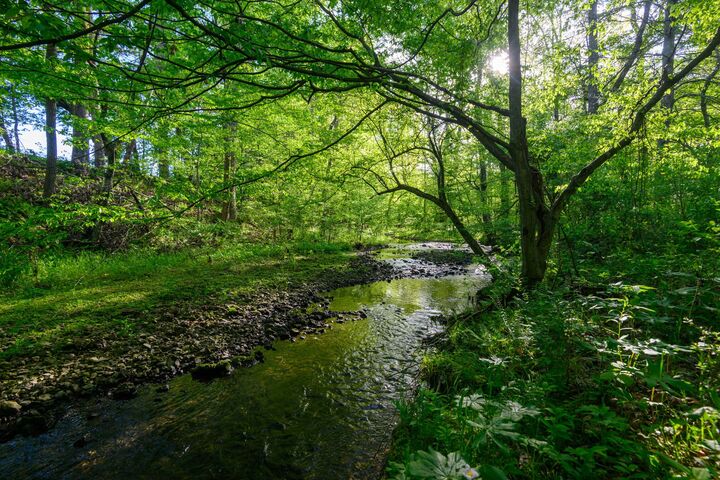 Property Photo: 0 Pocahontas Rd TN 37357