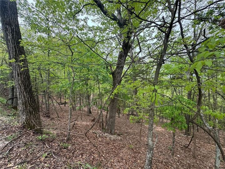 Property Photo:  L75 W Airport Drive  AR 72732 