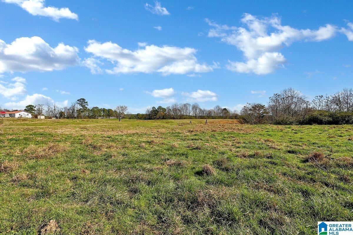 Property Photo:  215 County Road 83 215  AL 35033 