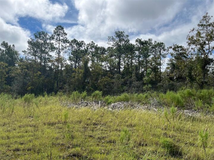 Property Photo:  13154 Flaccus Court  FL 34613 