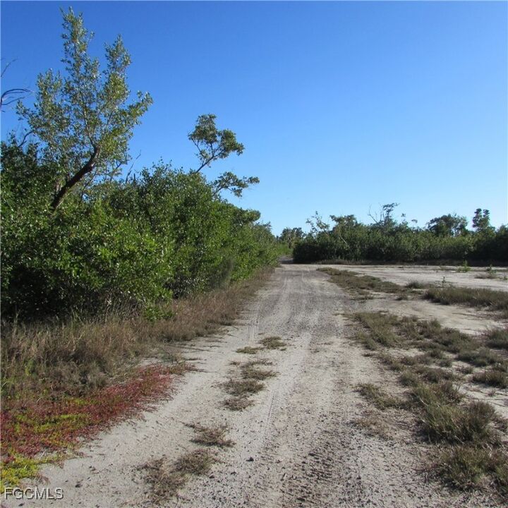 Property Photo: Ficus Tree FL 33922