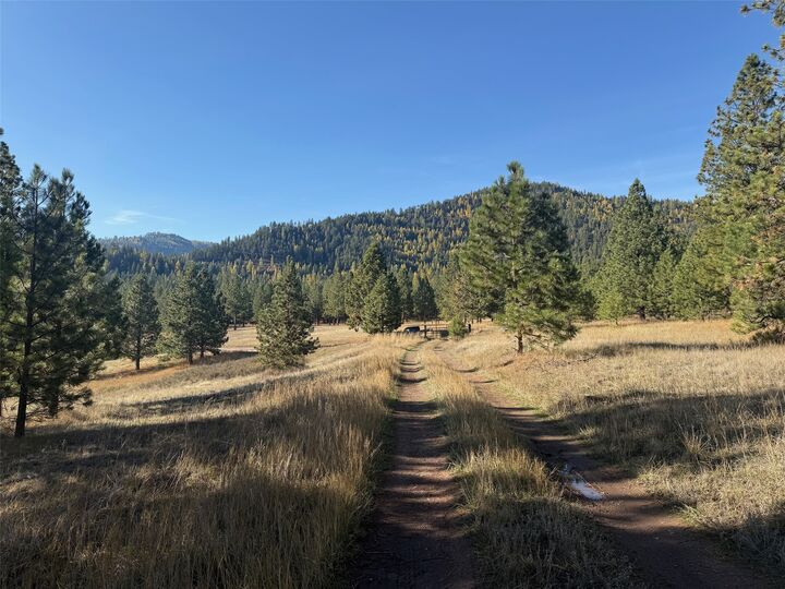Property Photo: Parcel 1C Dry Gulch Road MT 59804