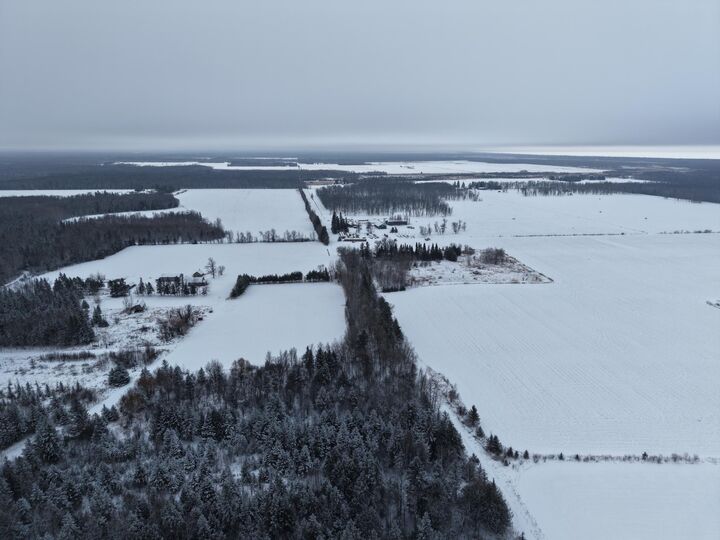 Property Photo:  Tbd Pit Road NE  MN 56650 