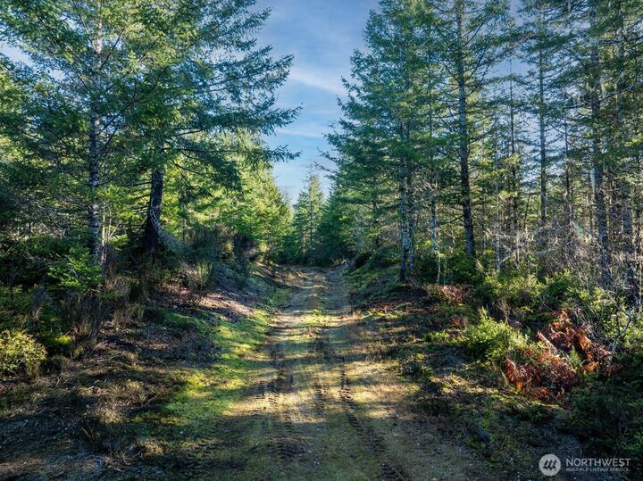 Property Photo:  10 Xx E Shetland Road  WA 98584 