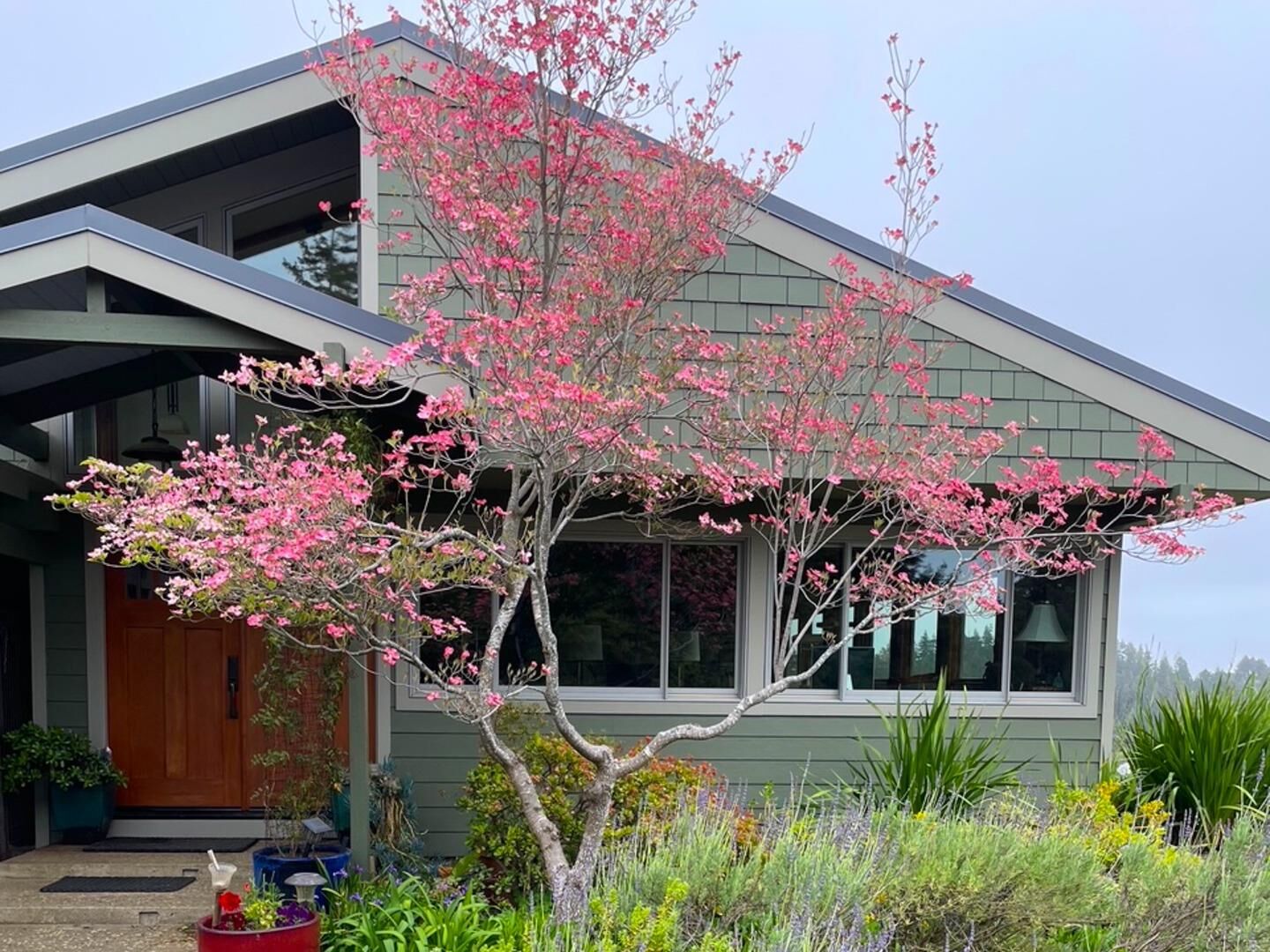 Property Photo: 1584 Tindall Ranch Road CA 95076