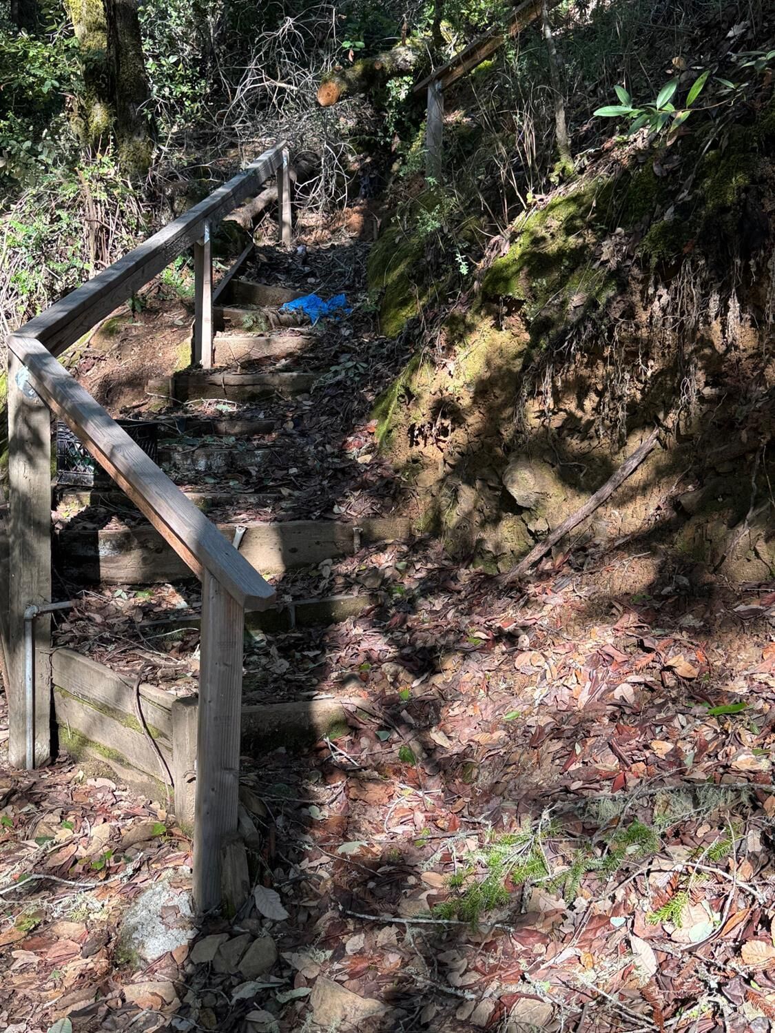 Property Photo:  17561 Duncan Road  CA 95446 