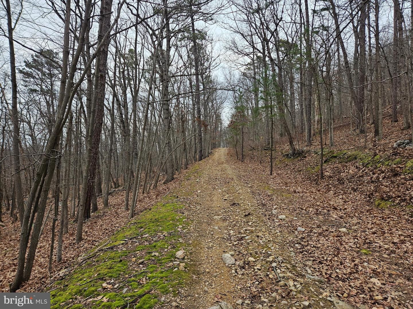 Property Photo:  Chapman Lane  VA 22620 